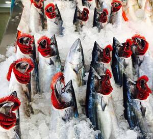 karadeniz balikcilik balik pisirme evi guclukaya ankara zomato